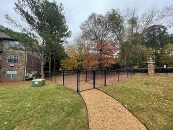 Dog Park
